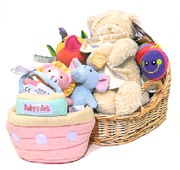 newborn baby gift baskets